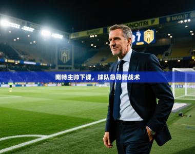 南特主帅下课，球队急寻新战术