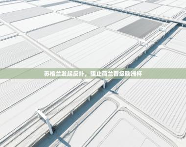 苏格兰发起反扑，阻止荷兰晋级欧洲杯