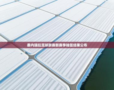 委内瑞拉足球联赛新赛季抽签结果公布