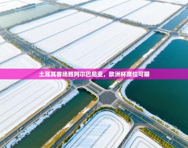 土耳其客场胜阿尔巴尼亚，欧洲杯席位可期