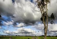 华沙军团主帅现身球员会议重申雄心壮志