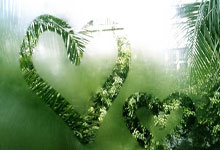 埃弗顿主场击败阿森纳，取得宝贵三分