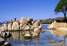 埃弗顿主场击败阿森纳，取得宝贵三分