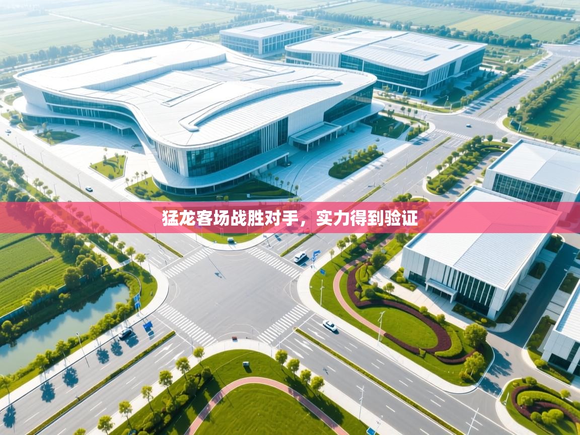 猛龙客场战胜对手，实力得到验证  第1张