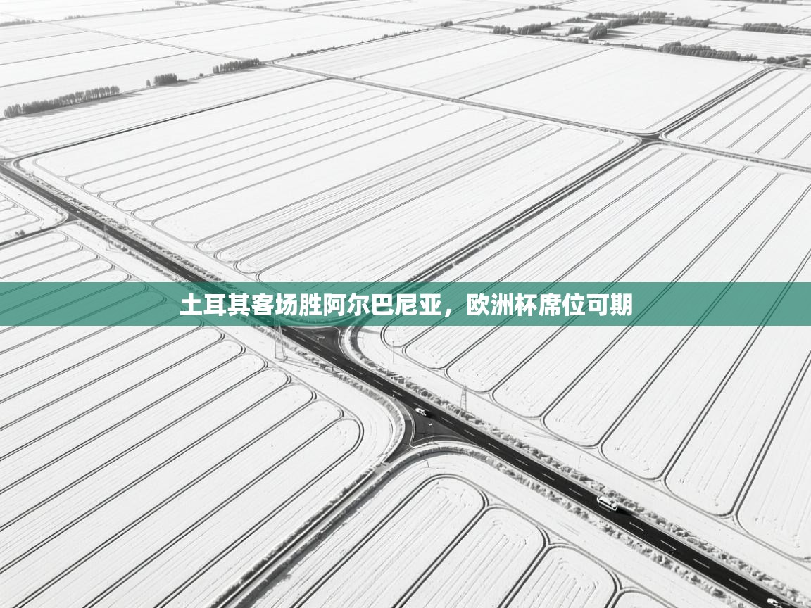 土耳其客场胜阿尔巴尼亚，欧洲杯席位可期  第2张