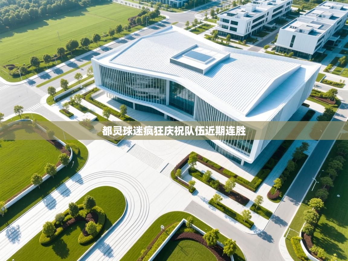 都灵球迷疯狂庆祝队伍近期连胜  第2张