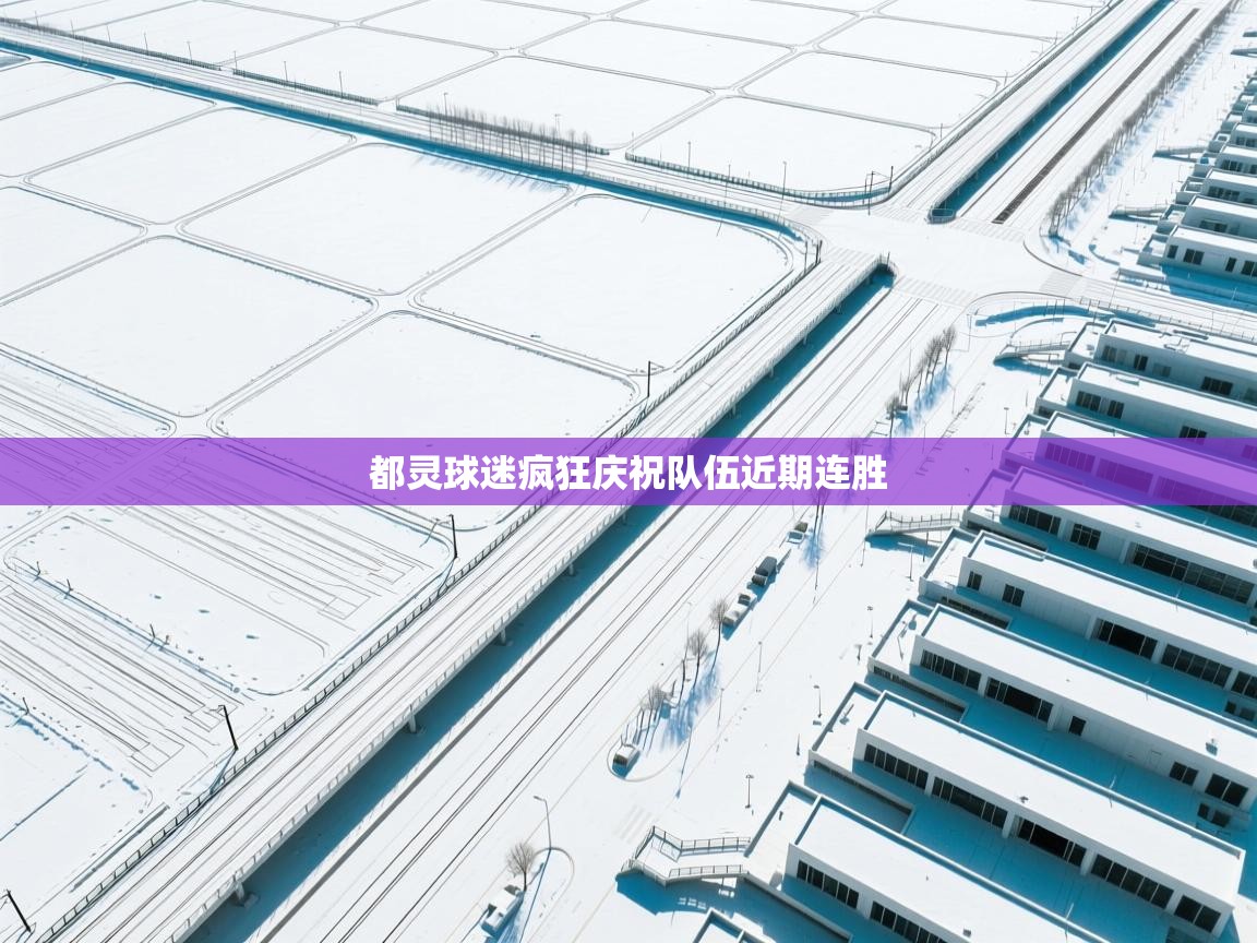 都灵球迷疯狂庆祝队伍近期连胜  第1张