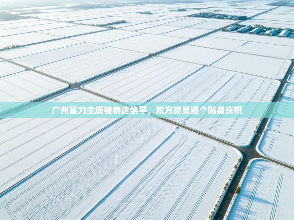 广州富力主场被泰达绝平，双方球员逐个贴身庆祝  第1张