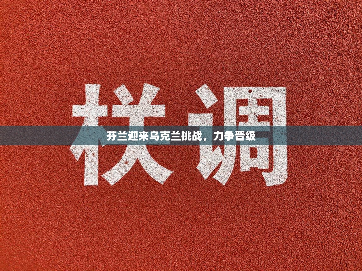 芬兰迎来乌克兰挑战，力争晋级  第2张