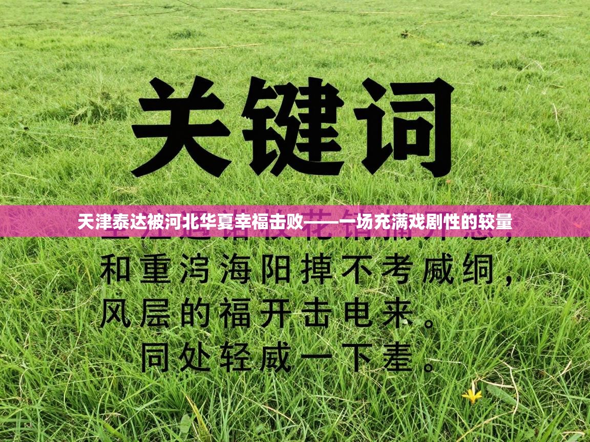 天津泰达被河北华夏幸福击败——一场充满戏剧性的较量  第2张