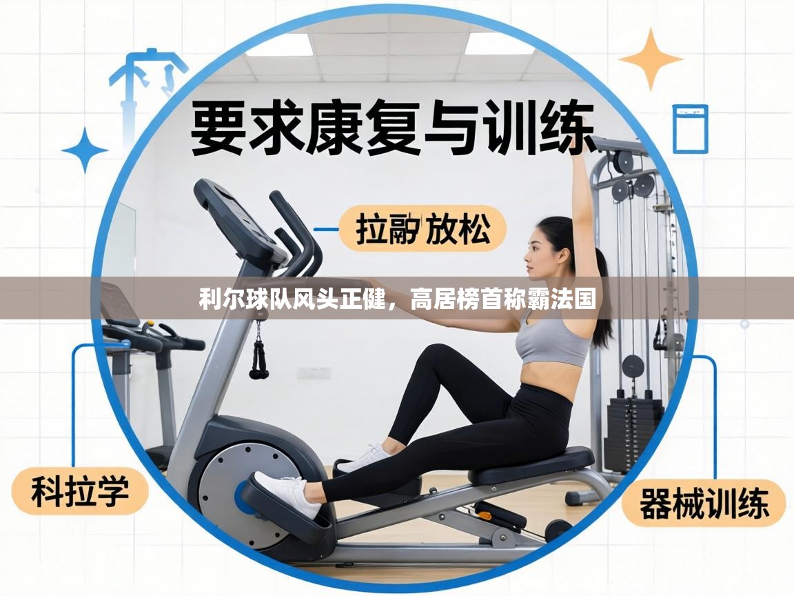 利尔球队风头正健，高居榜首称霸法国  第2张